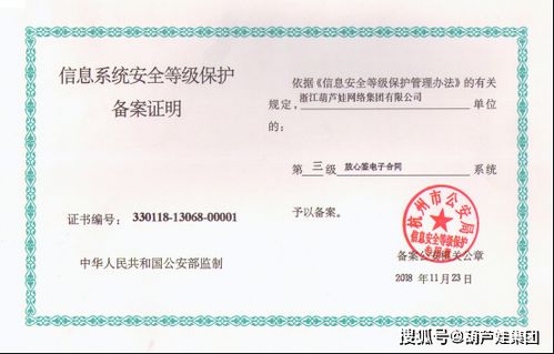 硬核認(rèn)證鑄就卓越 葫蘆娃集團(tuán)網(wǎng)絡(luò)技術(shù)服務(wù)的不二之選